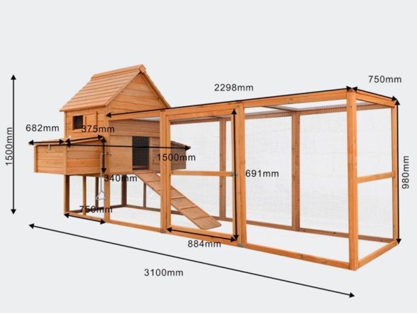 Tyúkól Scobax Woody