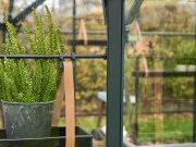 Skleník Halls Icon Gardenhouse 8