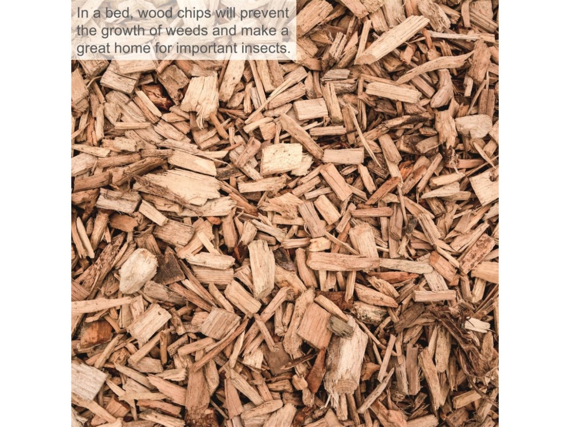 Elektrický válcový drtič 2800 W s transparentním boxem Scheppach GS 60