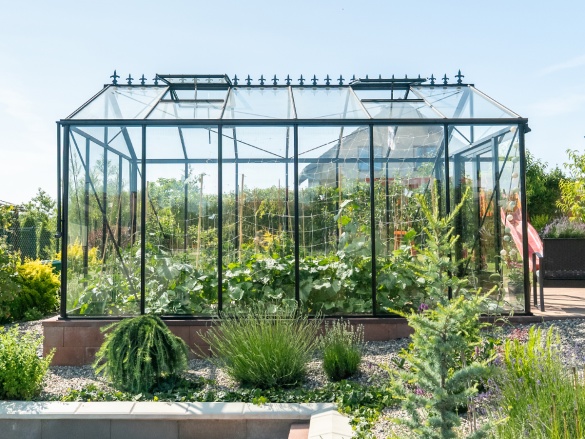 Üvegház Euro-Serre Maxi