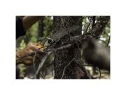 Összecsukható fűrész Silky Pocketboy Curve 130-8