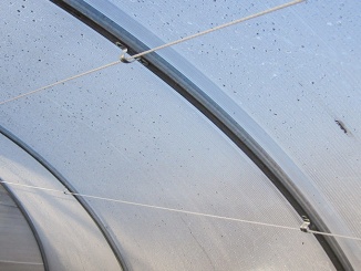 Scobax –  Scobax Vedení rostlin G