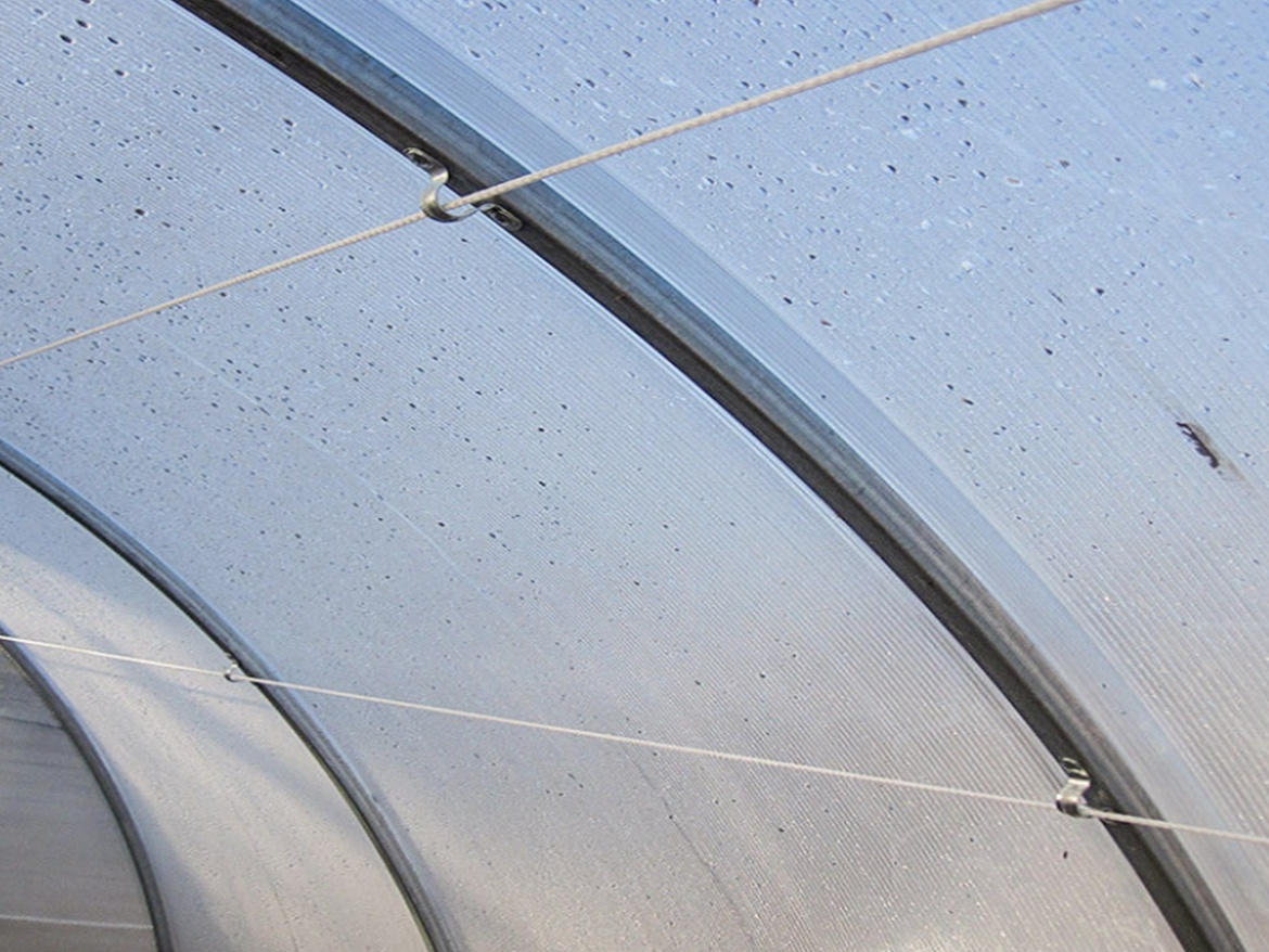 Vedení rostlin Scobax