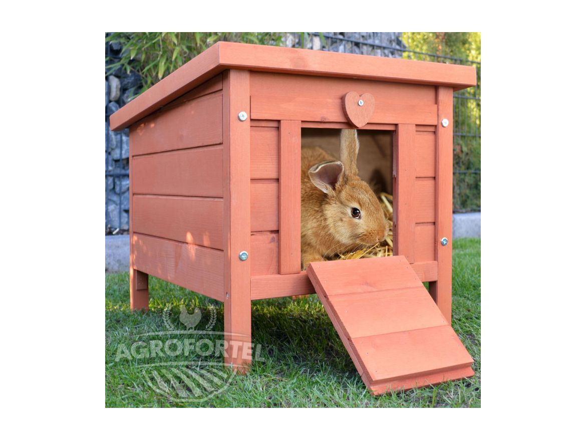 Fa nyúlketrec Scobax Dodo