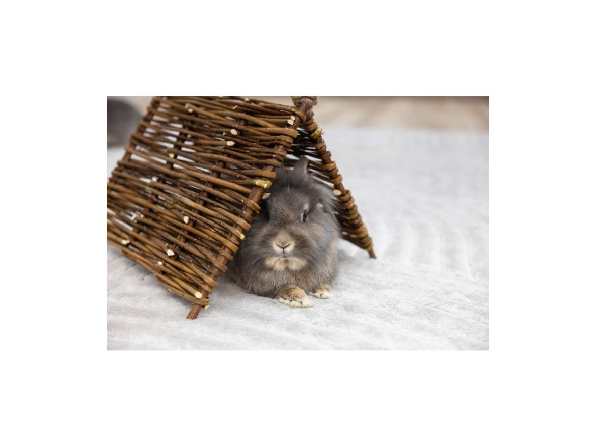 Scobax Domek pro králíky z proutí - přirodní teepee, 37 x 27 cm