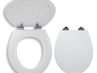 WC, bidety a pisoáre –  Novaservis WC sedátko s poklopem Lyra, Soft-Close, bílé,  WC/SOFTLYRA