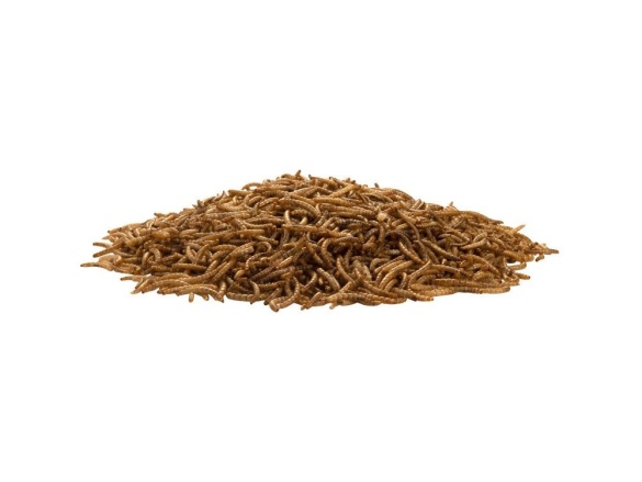 Scobax Moučný červ 0,5l (80g)