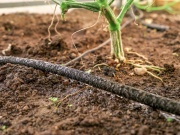 Náš autonomní skleník na hortibotickém dni