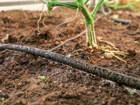 Náš autonomní skleník na hortibotickém dni
