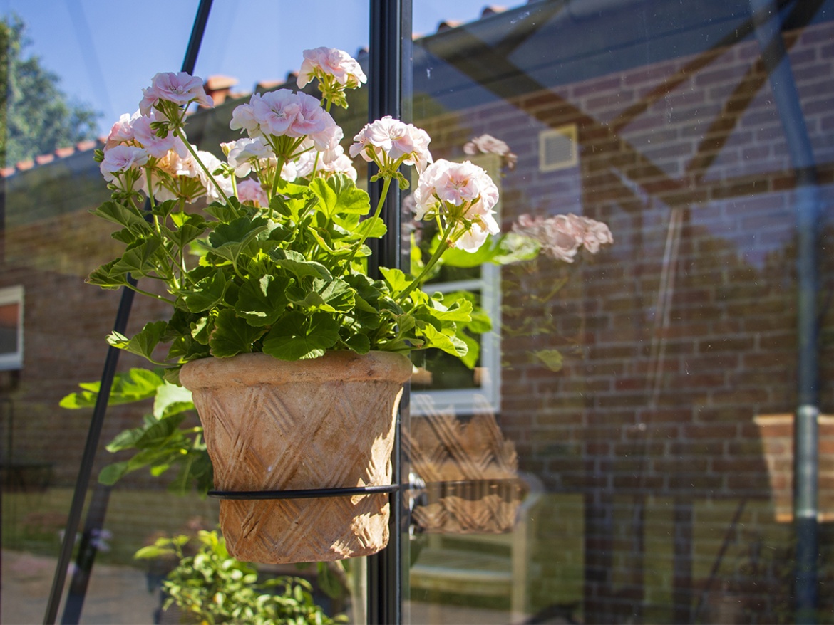 Pálmaház Juliana Orangeri