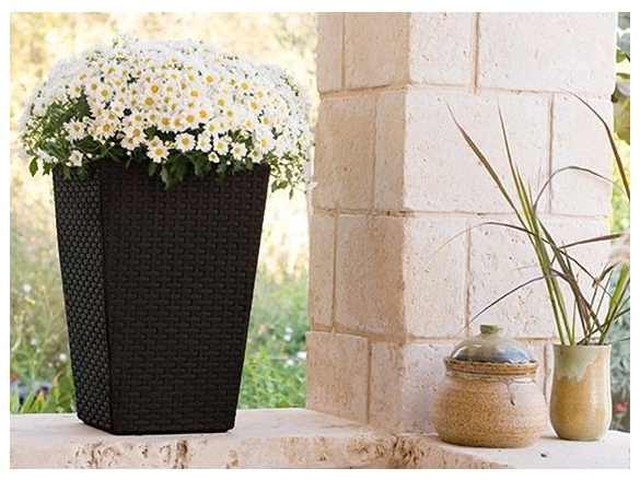 Keter Květináč Rattan Planter M - hnědý