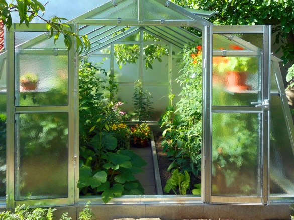 Skleník Limes Variant