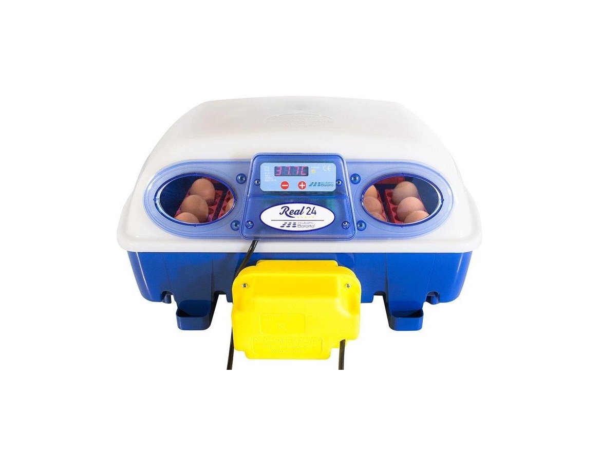 Scobax Líheň na vejce BOROTTO REAL 24 AUTOMATIC