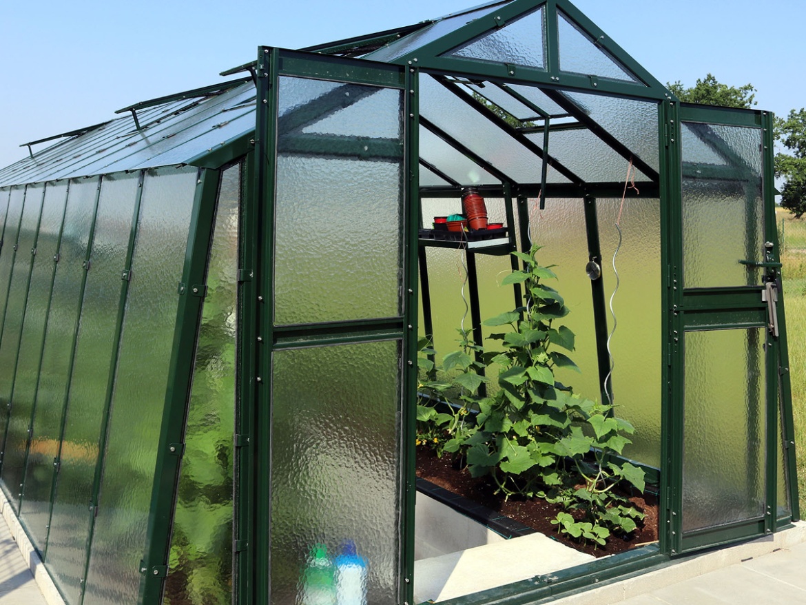 Skleník Limes Variant