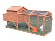 Tyúkól Scobax Luisa