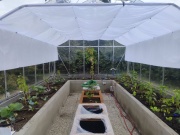 Professzionális, kulcsrakész üvegháztelepítések