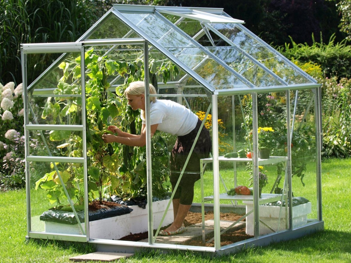 Skleník Vitavia Venus Premium