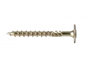 G21 Vrut  do dřeva s talířovou hlavou, M8x100 mm, pozink