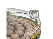 Scobax Automatická líheň na drůbež AGROFORTEL 52H – pro 52 vajec