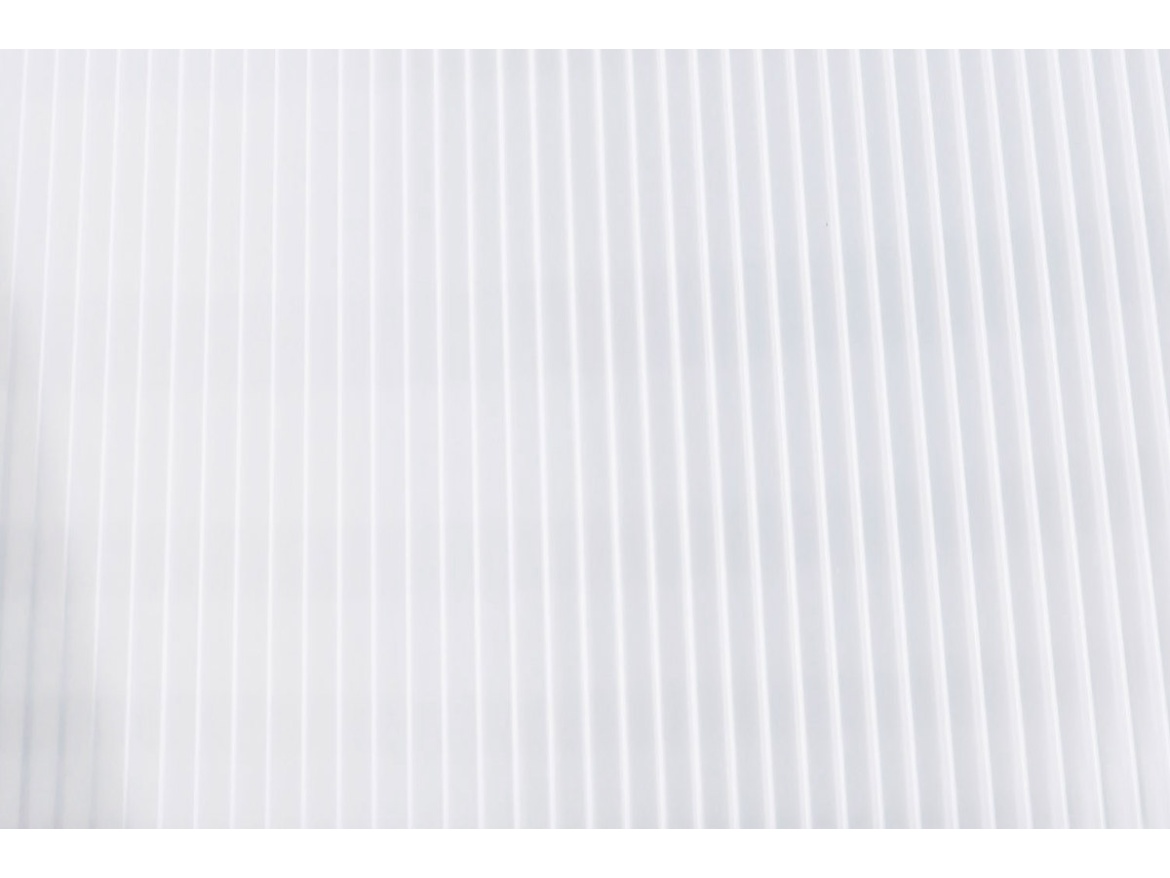 Vchodová stříška Scobax Bresica