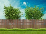 Plotová plaňka G21 Wood