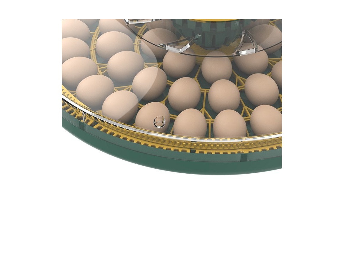 Automatická líheň na drůbež AGROFORTEL 52H – pro 52 vajec