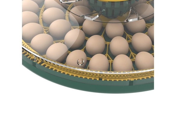 Automatická líheň na drůbež AGROFORTEL 52H – pro 52 vajec