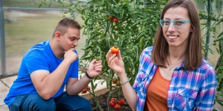 Co chybí vašim rostlinám