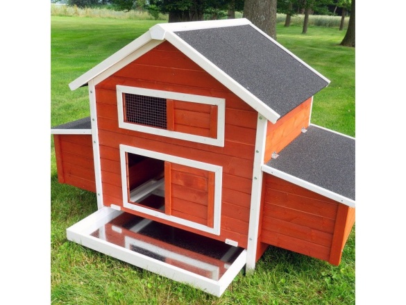 Kurník Scobax Blake