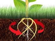 R1-2 Tornadica Kultivátor