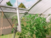 Otvárač okna Sensorie