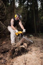 Riwall Řetězová pila PRO RPCS 5545