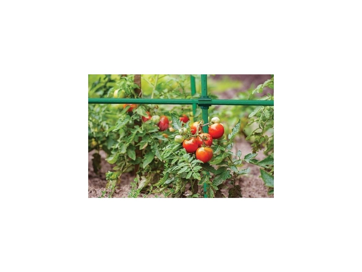 Bradas Křížová spojka pro tyčky k rostlinám - 1,6cm/10ks