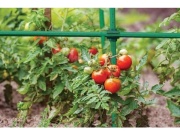 Bradas Křížová spojka pro tyčky k rostlinám - 1,6cm/10ks