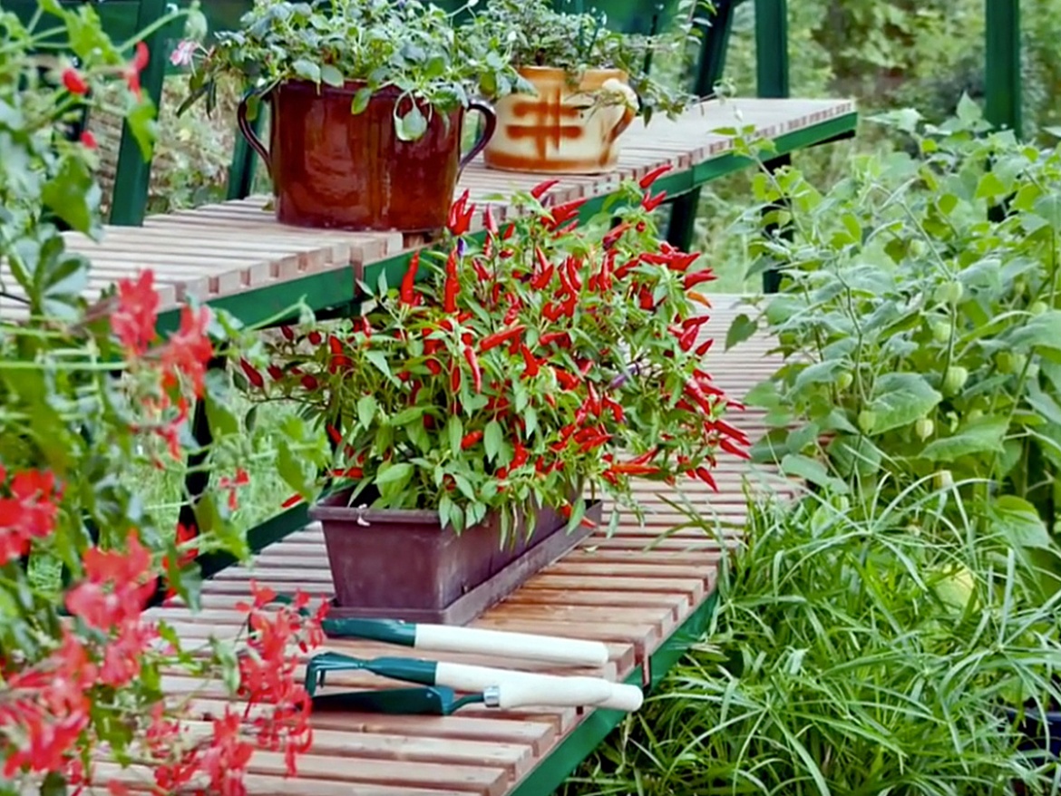 Výplň (drevený rošt) Limes Výplň police Primus (dřevěný rošt)