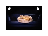 Scobax CROCODOG ORTHOPEDIC PET BED