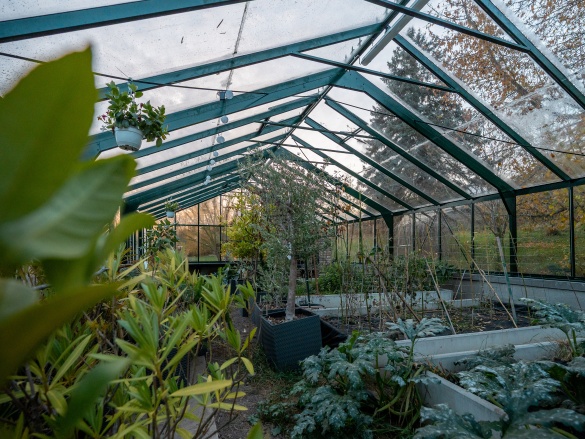 Najväčší skleník, čo sme postavili