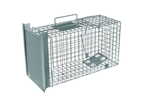 Scobax Past na potkany, krysy a lasičky TRAP ZL50x20x27