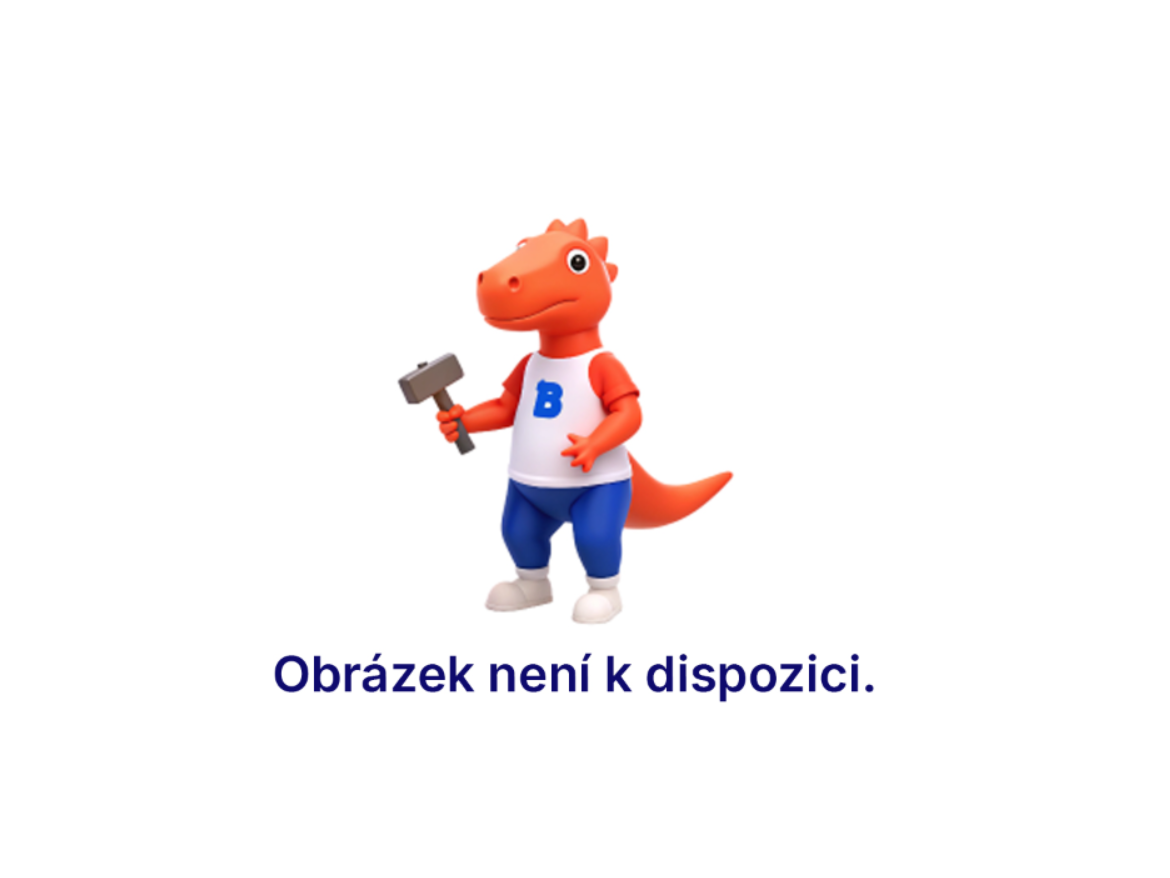 Tlumící kroužek PAM