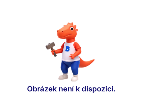 Tlumící kroužek PAM