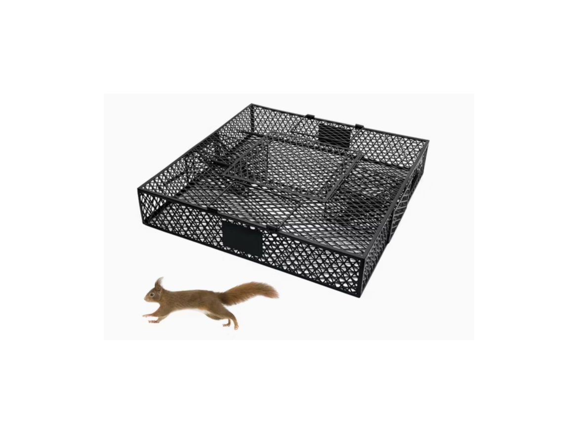 Scobax Odchytová klec T-W55 | 55 × 55 × 10,5 cm