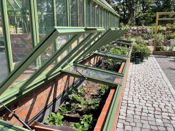 Üvegház Vansta Pimpinell