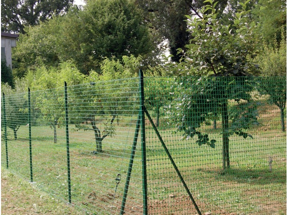 Plastové pletivo Tenax Ranch