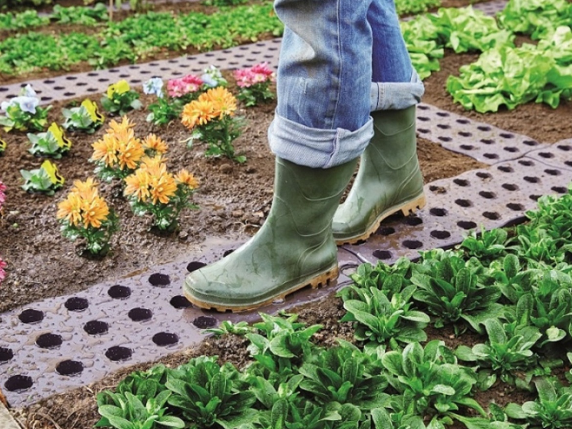 Záhonový chodník Gampre