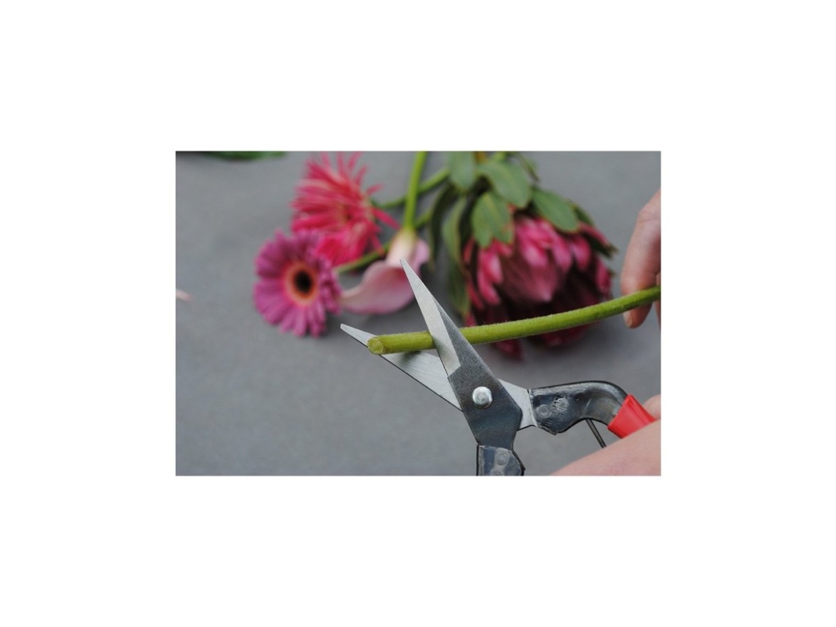 Hosszú pengéjű metszőolló 304