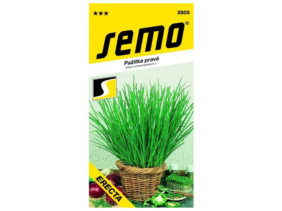 Semo Pažitka - Erecta, vzpřímená 2g