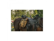 Skládací pila Silky Pocketboy Curve 170-8