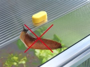 Parenisko Juwel Biostar Protect