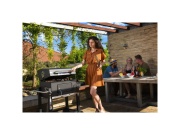 Gril na dřevěné uhlí  PRO Riwall PRO RCG 60