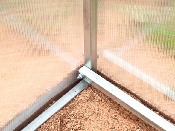 Üvegház Scobax Archibald